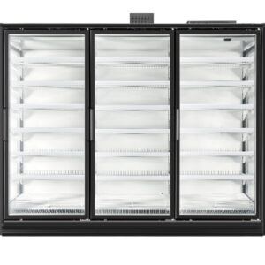 Glass Door Freezer